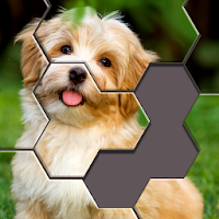 Hexa Jigsaw Puzzle™ (MOD, Bani nelimitat)