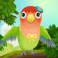 Bird BnB (MOD, Bani nelimitat)