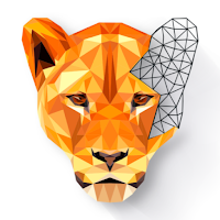 Polygon: Coloring-Book, Art (MOD, Totul deblocat)