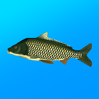 True Fishing. Fishing simulator (MOD, Unlimited Money)