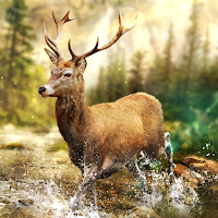 Hunting Clash: Охота на животных (Mod)