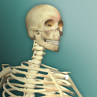 Idle Human 2 (MOD, Bani nelimitat)