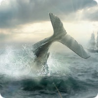 Moby Dick: Wild Hunting (MOD, Unlimited Money)