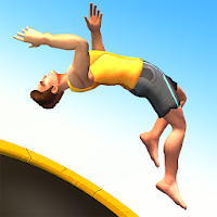 Flip Master (MOD, Bani nelimitat)