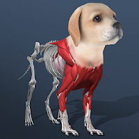 Idle Pet - Create cell by cell (MOD, Unlimited Money)