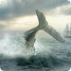 Moby Dick: Wild Hunting (MOD, Unlimited Money)
